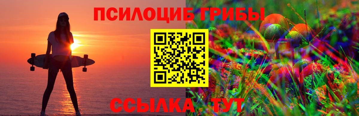 Псилоцибиновые грибы прущие грибы Елец